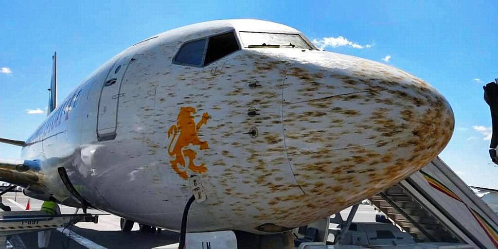 ‘Locust invasion’ forced Ethiopian plane to divert
