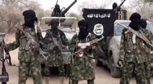 Chad imposes state of emergency after Boko Haram attack