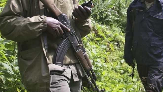 DR Congo’s Virunga National Park hit by ‘deadliest’ attack