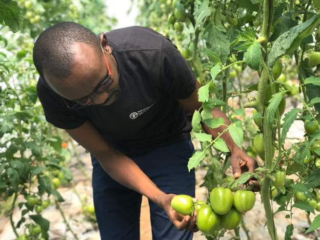 ‘I can’t get my goods to market’