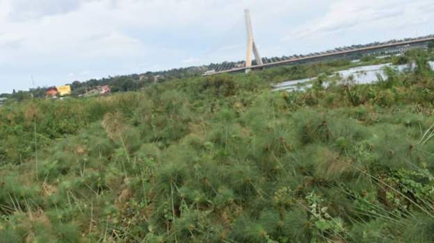 Floating island causes national power cut