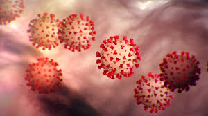 Sunlight destroys coronavirus quickly, say US scientists