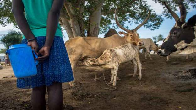 Hundreds feared killed in South Sudan violence