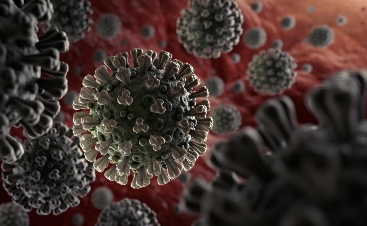 More prisoners freed in Zimbabwe virus amnesty