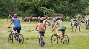 Uganda as one of the safest tour destinations