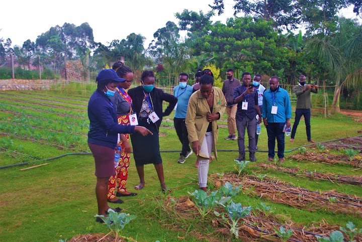 Over 200 youths to be trained in business, leadership skills